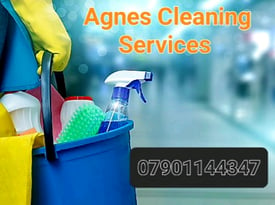 Cleaning services 