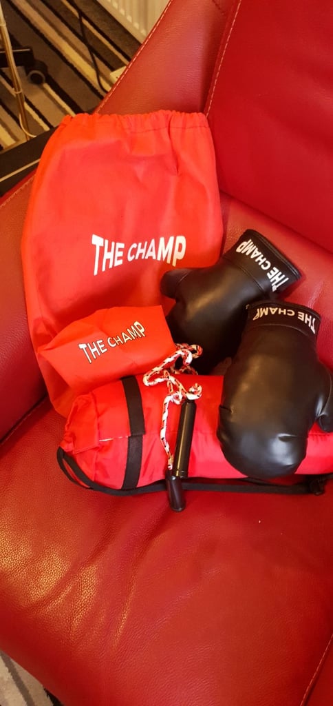 image for Kids boxing set
