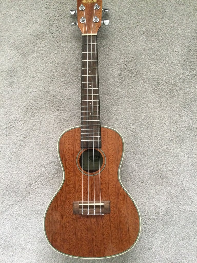 image for Kala Concert CG Ukulele and Case