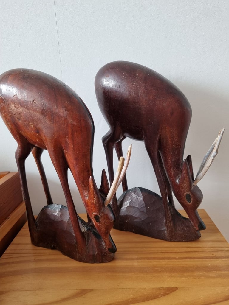 image for African antelope 