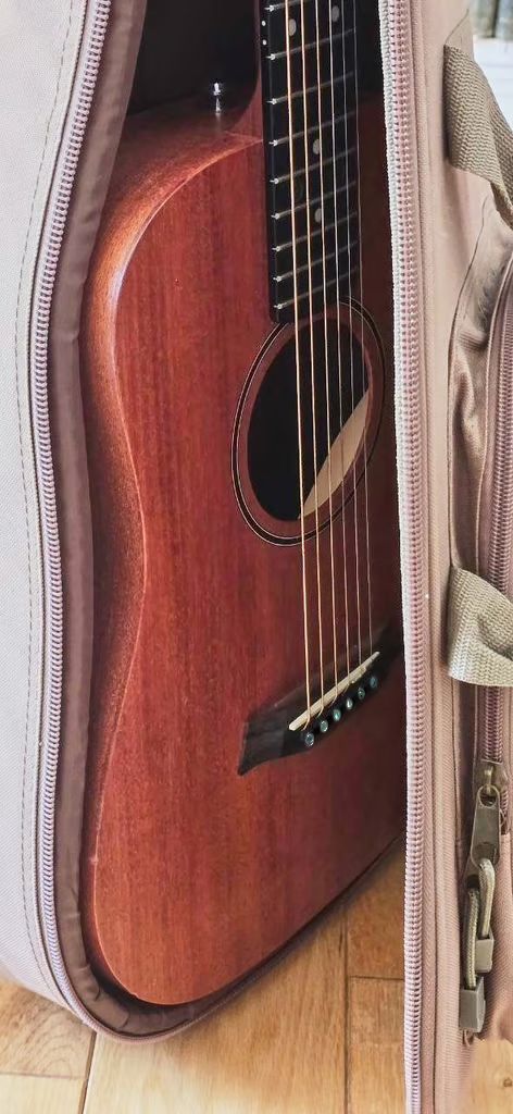 Taylor BT2 guitar with gig-bag in lovely condition with rich sound.