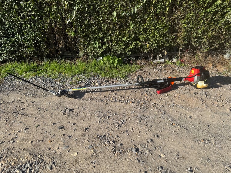 Petrol long reach hedge trimmer good working order 