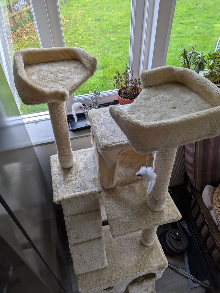 Cat tree 