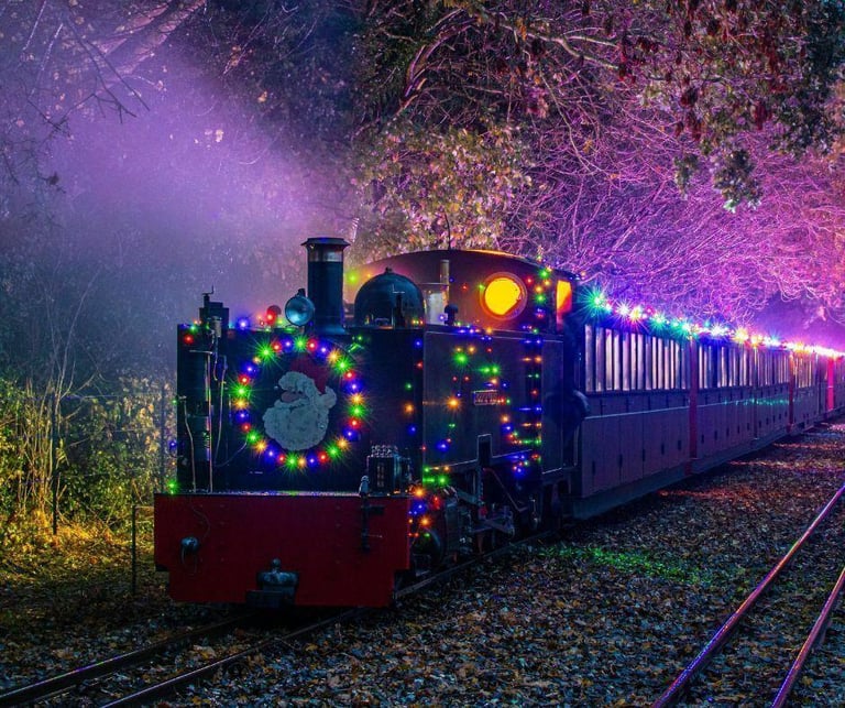 image for NOEL NIGHT TRAIN