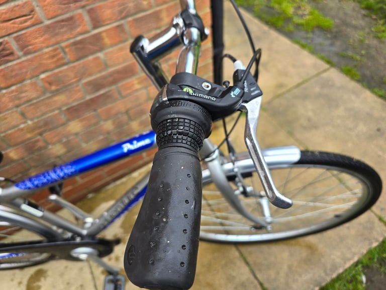 Hybrid bike 