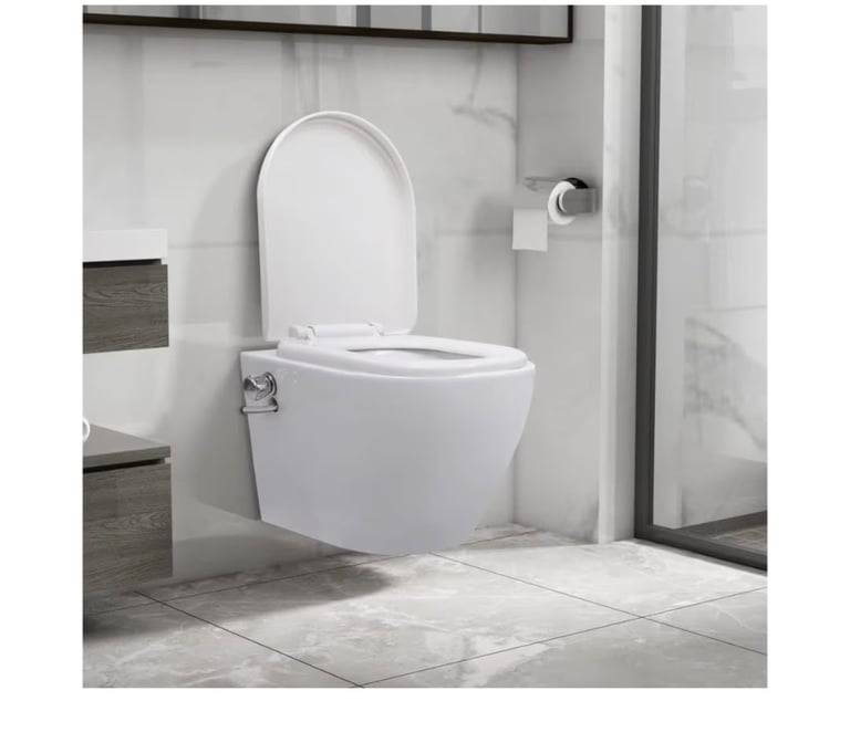 Bidet toilet