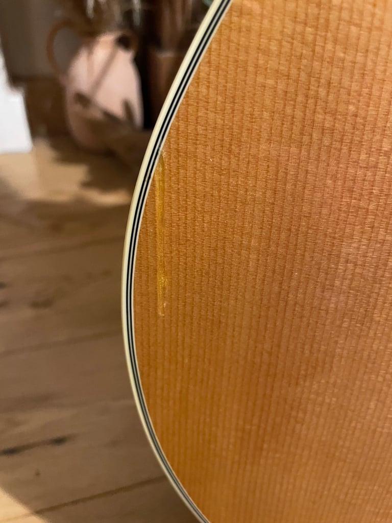 Vintage 12 string V1700-N12