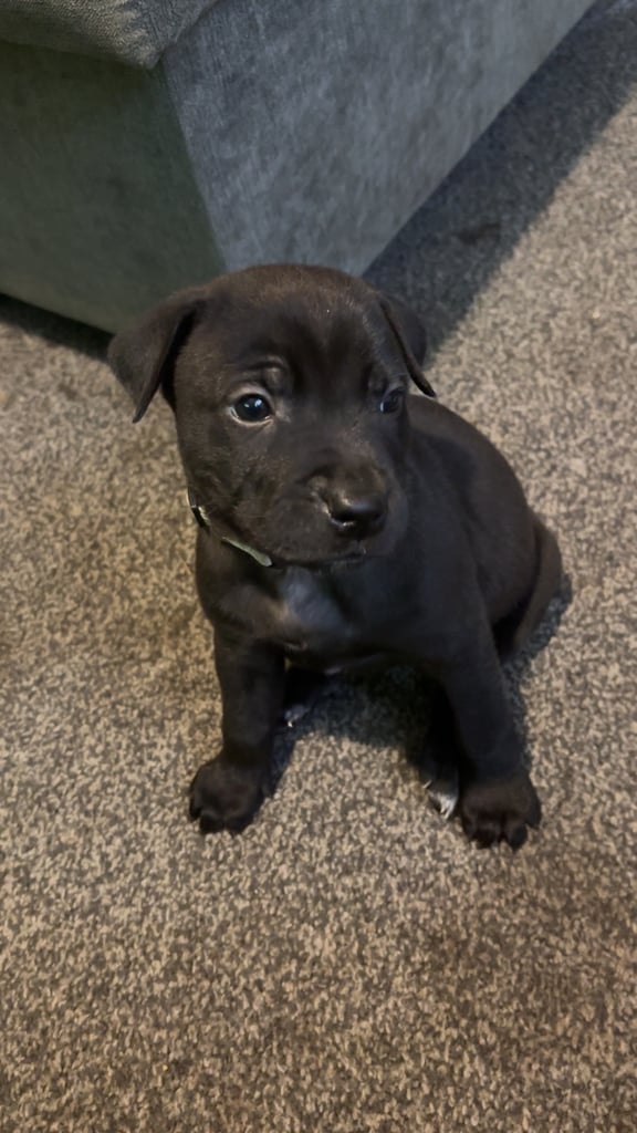 Last little boy!!!