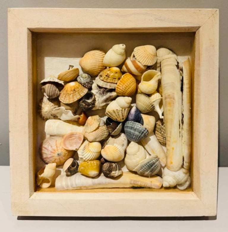 image for square picture frame full of shells