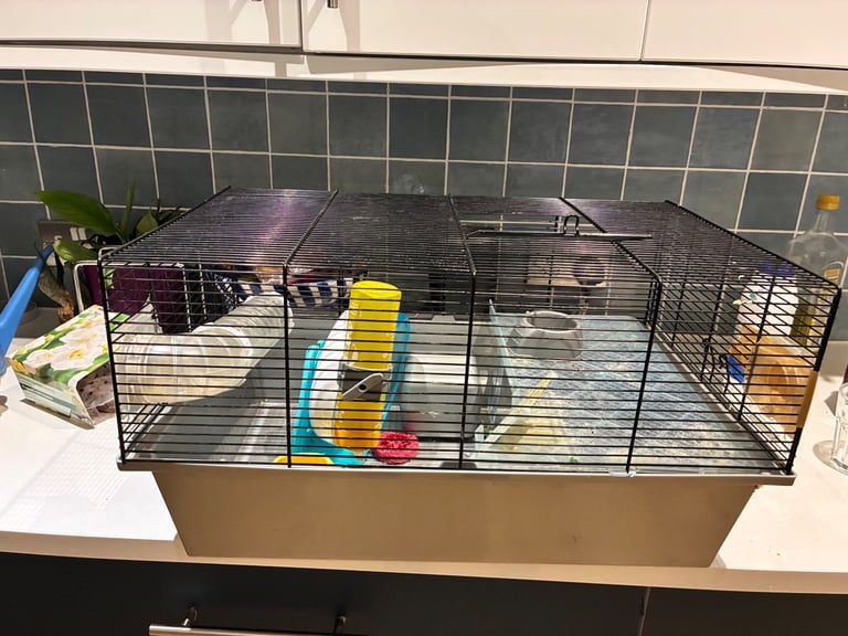 Hamster cage