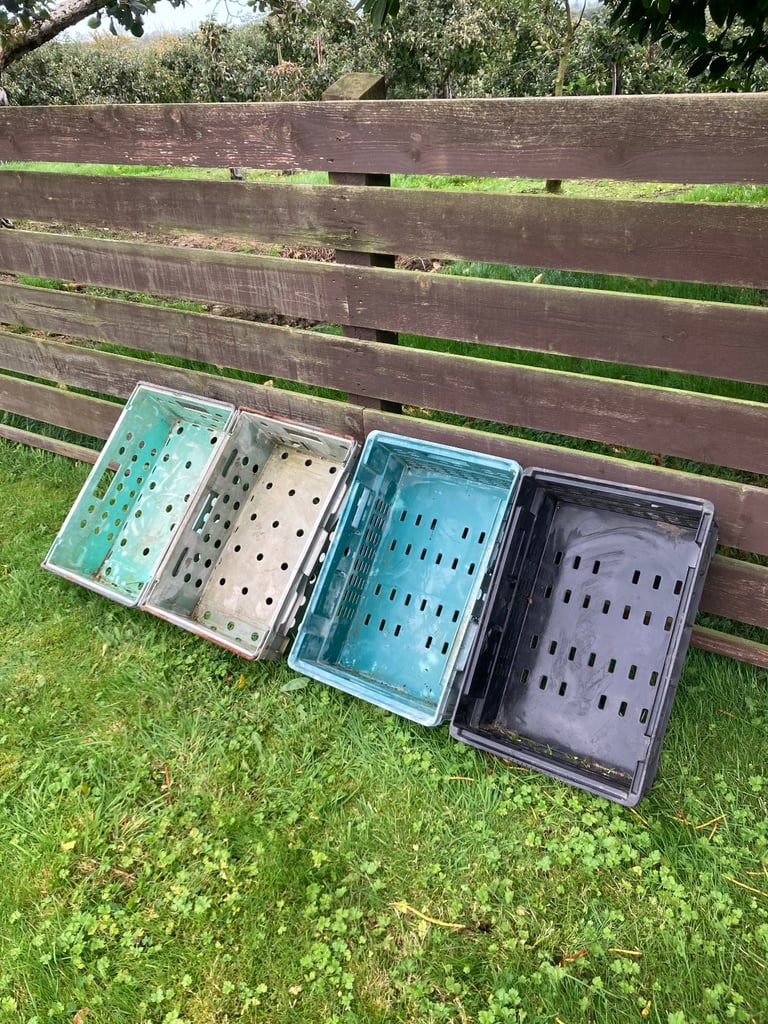 Plastic storage trays.