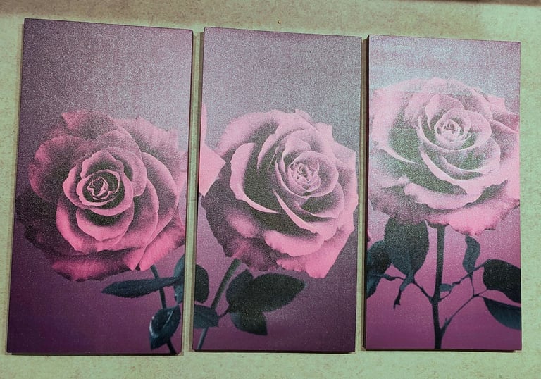 image for 14 CANVAS PICTURES -JOB LOT!  (ALL VARIOUS SIZES)