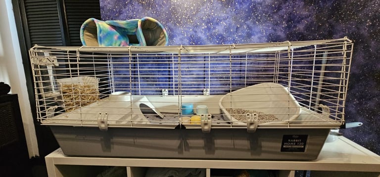 Bunny with indoor cage