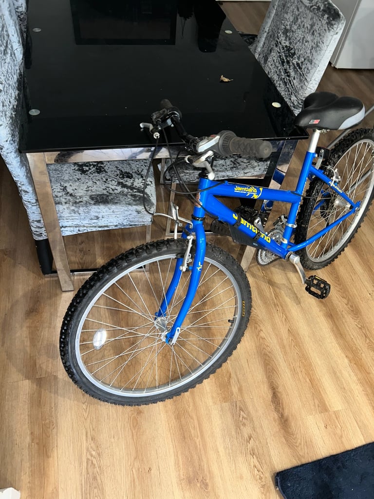 £80 bike 26 inch wheels fully working order 