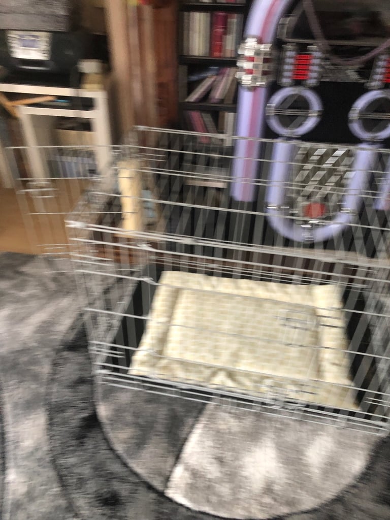 Cat kitten cage 