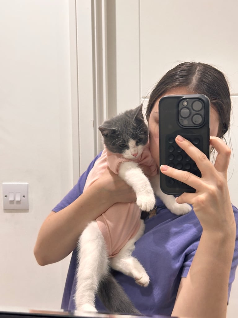 Beautiful Domestic Cats – Mum, Dad & 3 Adorable Kittens (2 Boys, 1 Girl)