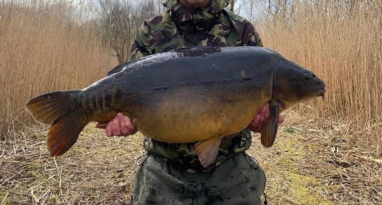 Static Caravan Holiday Home in Lincolnshire