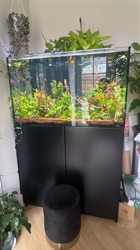 image for Red Sea 250 tank