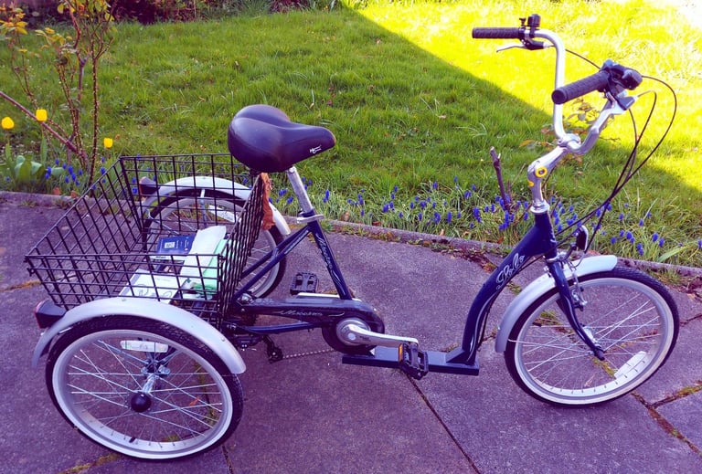 Adult tricycle for sale