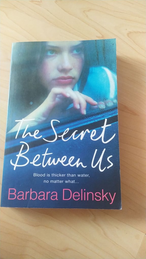 The secret between us book