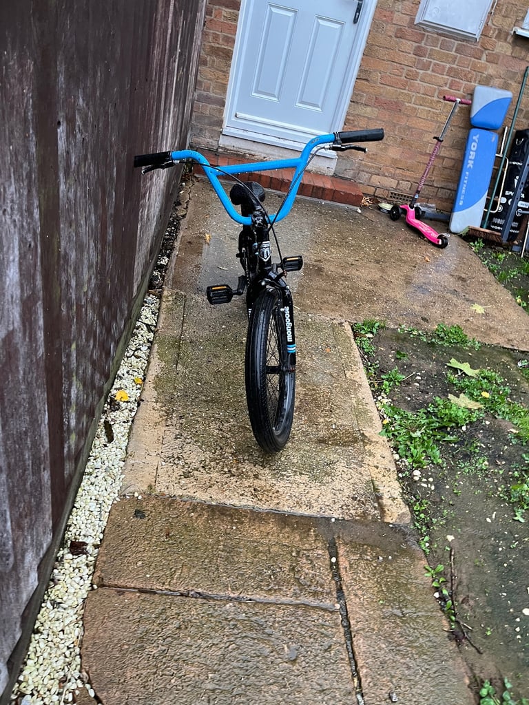 Sensible offers or cash