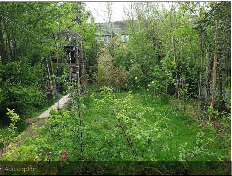 A clean single room available in Basildon with fast internet