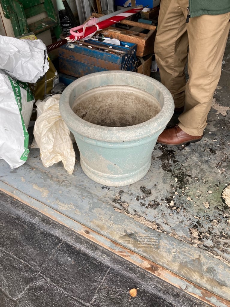 image for Large plastic plant pot