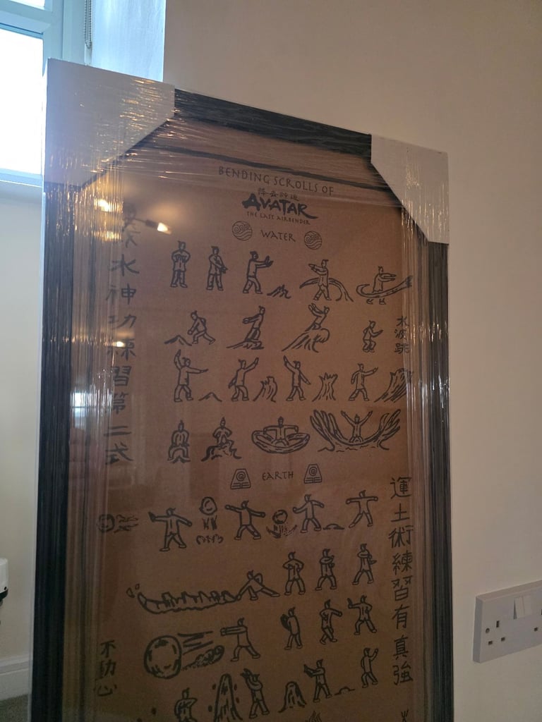 Avatar the last airbender professionally framed artwork