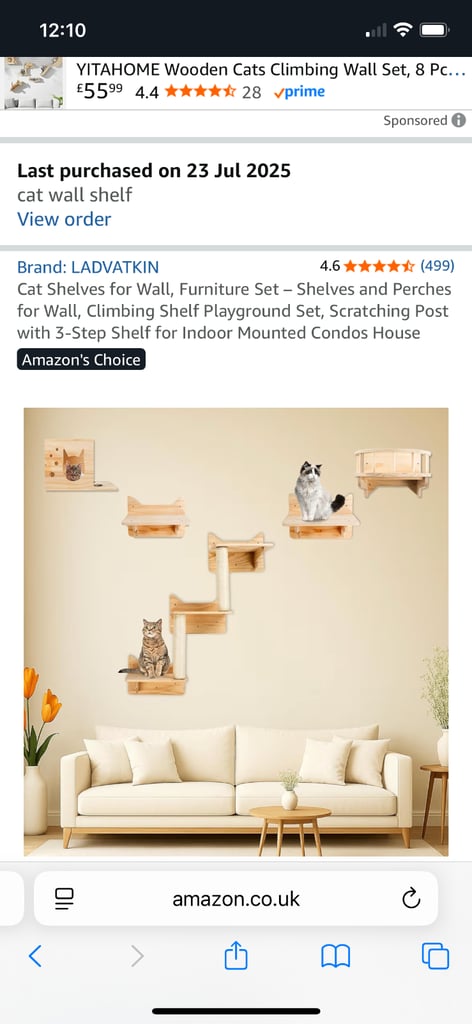 Cat wall shelves and boxes