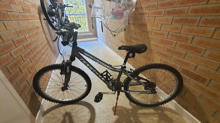 image for Ridgeback MX24 Giant Bike