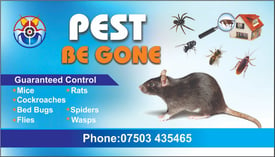 Pest control services in london Rat Mice Bedbugs Cockroaches Ants Mous