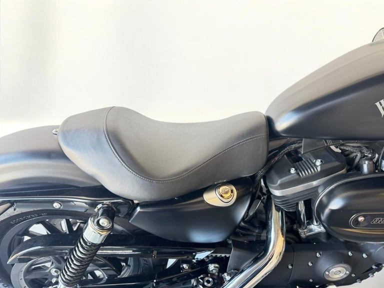 2015 Harley-Davidson Sportster 883 XL883N Iron 883