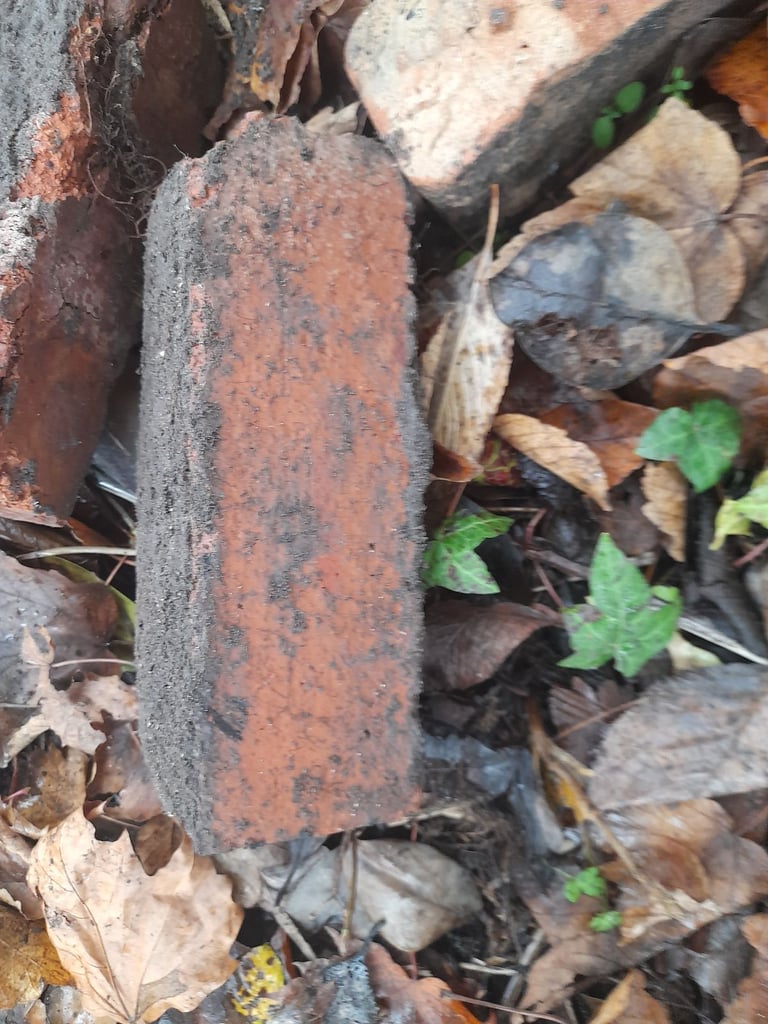 800 reclaimed bricks