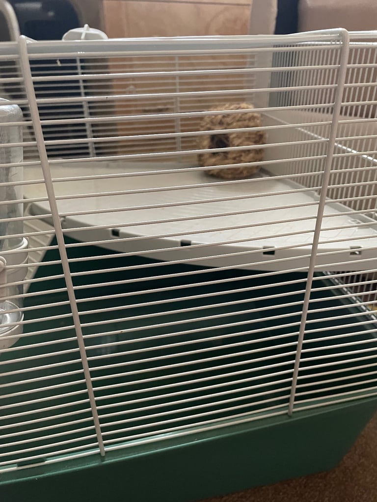 Large hamsters gerbils etc cage 