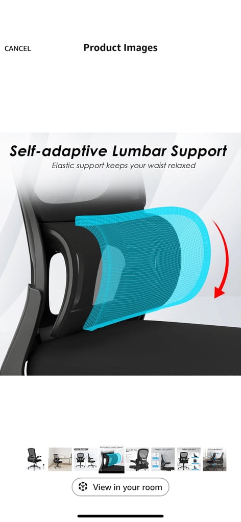 Electric adjustable desk and ergonomic chair