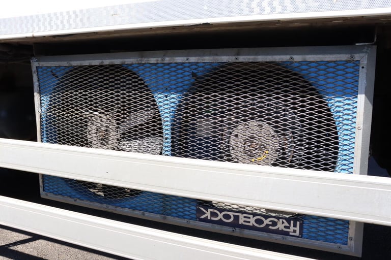 DAF LF 220 4X2 FRIGOBLOCK FREEZER BOXVAN (2014)