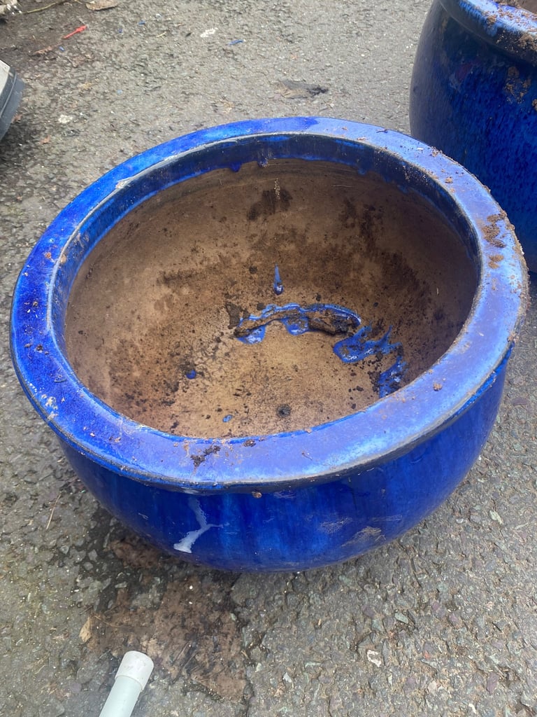 Blue ceramic pots+ White Pot 