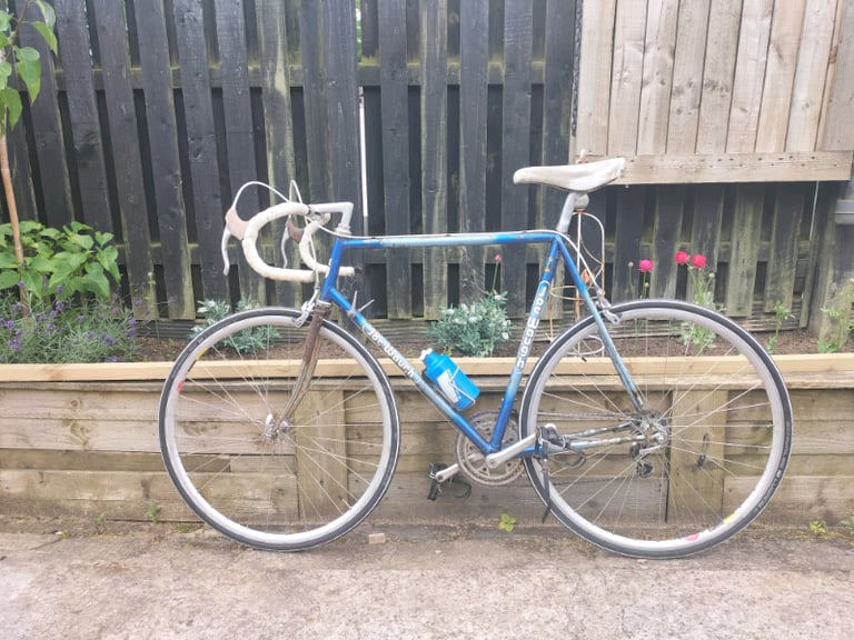 Second hand road bikes gumtree sales