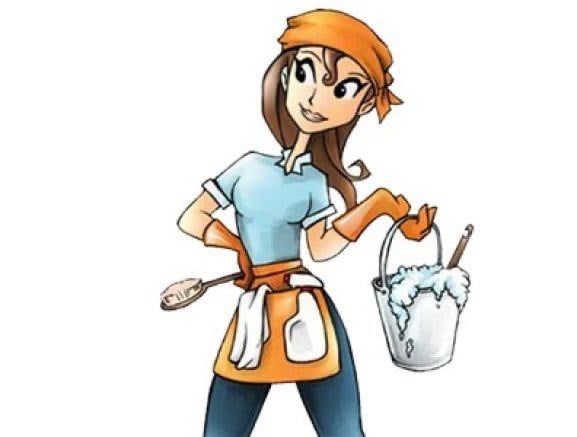 image for Professional Domestic/Office Cleaning