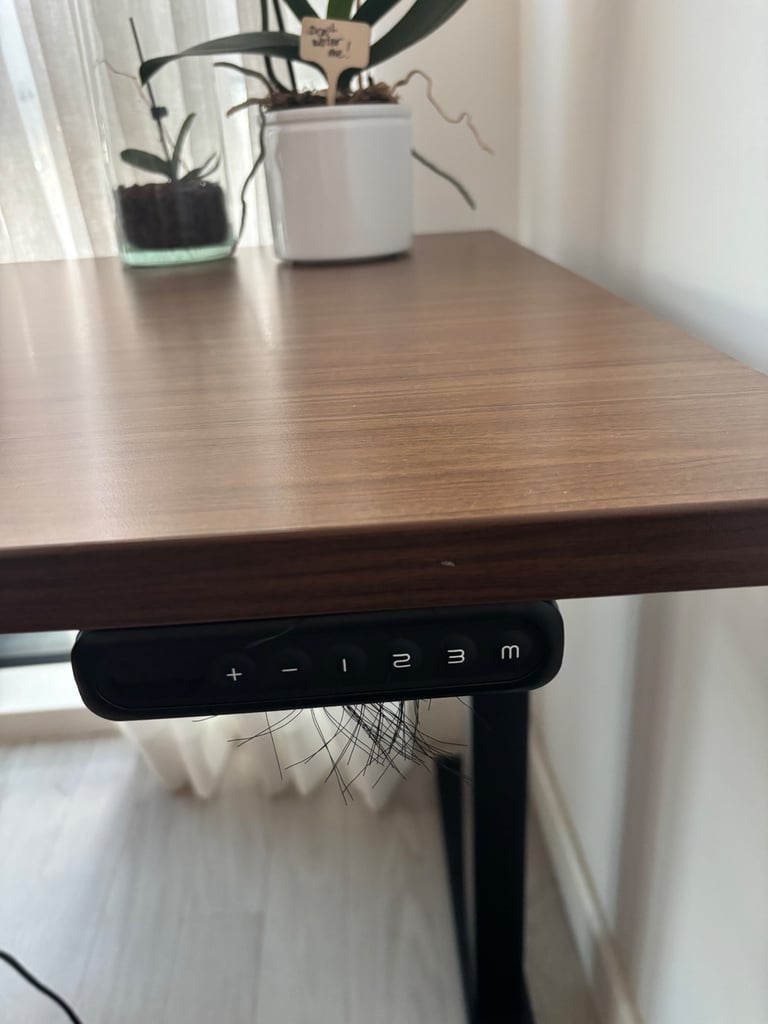 Ergonomic Walnut Standing Desk 80x60 with Memory & Cable Management