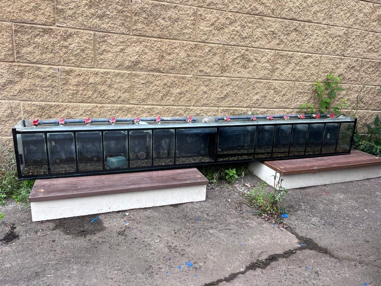 Fish tank with compartments sold as seen