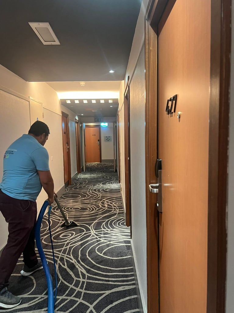 Carpet & Upholstery Domestic Cleaner Services - House Carpet Cleaning, End Of Tenancy 🏠