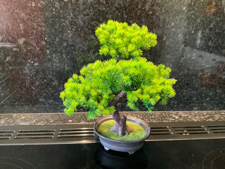 Artificial Bonsai Tree 33cm tall … at least you won’t kill it !