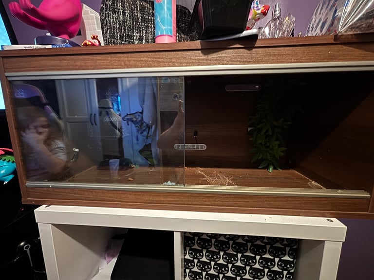 Viv exotic Vivarium 