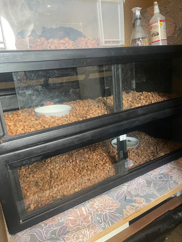 Plastic Vivarium