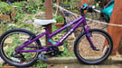 Dawes Paris Kids Bike (Serviced)