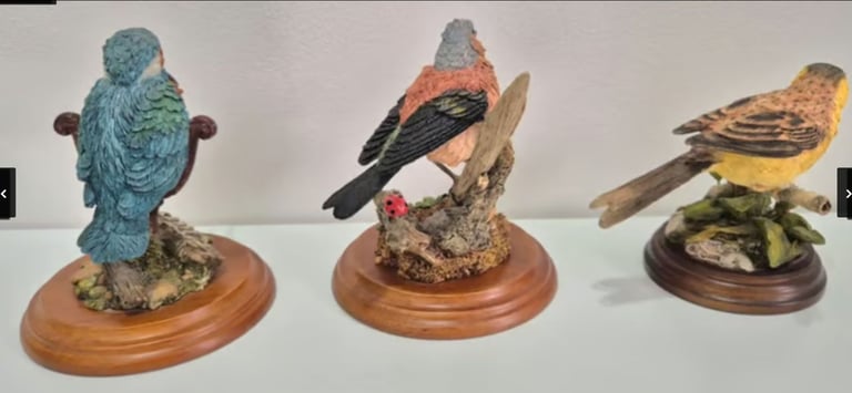 Collection of x15 display birds by Country Artists, Russell Willis and Views of Nature