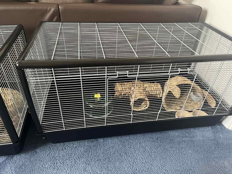 Month old big 100 savic cage was 80 no offer no extra 