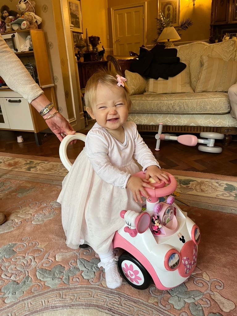 Lords and Labrador  large silver Dog crate with grey polka dot cover and fleece base included 