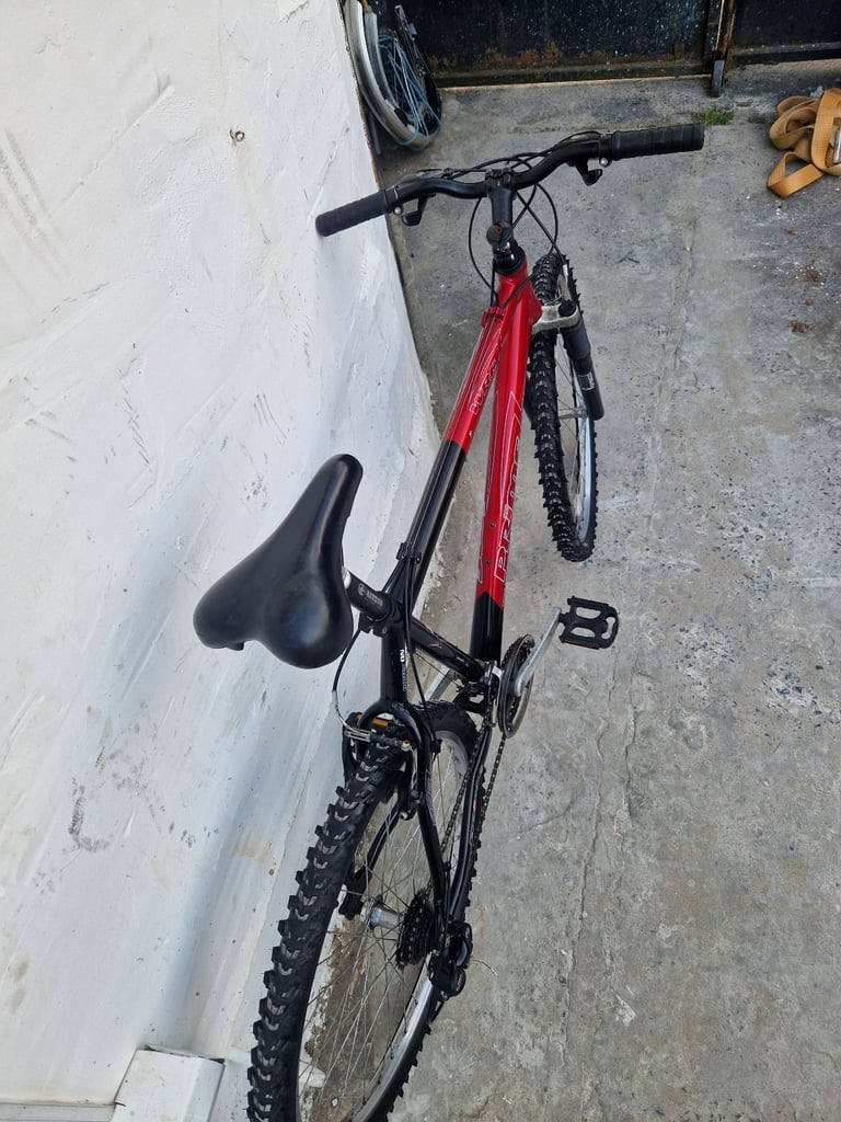 Adults bike 
